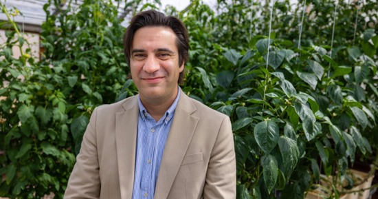 Patricio Grassini, professor of agronomy and horticulture, is co-author of a paper in the journal Nature Food that outlines a different way to estimate crop yields and crop gaps. (Aaron Nix/University Communication and Marketing)